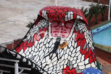112m de Pool van de Lengteglasvezel glijdt de Gegalvaniseerde Dia van de de Koningscobra van het Koolstofstaalkader voor Waterpark