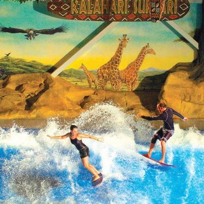 OEM Flowrider Surfsimulator met 65kw waterpomp en zacht sterk PVC voor waterparken 15,3m*9,3m