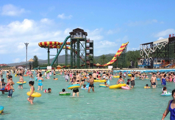 Het aangepaste Materiaal die van het Waterpark Swwiming-Poolglasvezel Waterslides voor Volwassenen opwekken