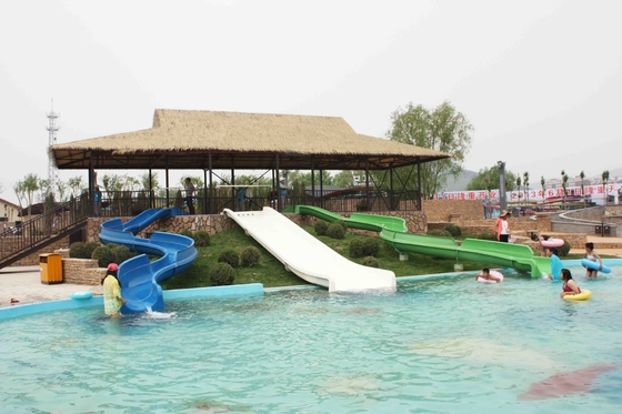 FRP-het Waterdia van Jonge geitjescombinaton door Lichaam of Vlot voor de Openluchtbouw van het Waterpark