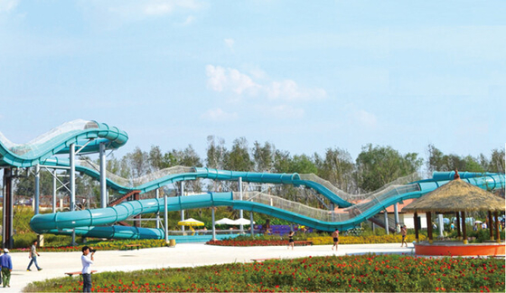 Sterke QC van de het Waterdraak van Aquapark van het Teamvermaak het Waterachtbaan voor Waterpark