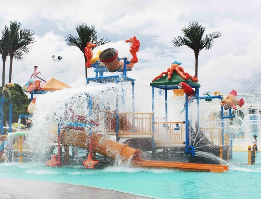 De professionele Structuren van het het Spelmateriaal van het Jonge geitjeswater met Waterdia, beklimmen Netto