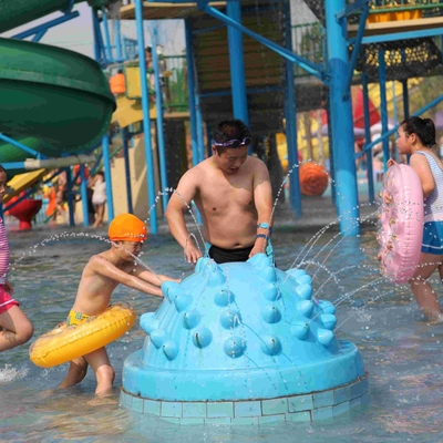 Van het de Speelplaatsmateriaal van het glasvezelwater het Product van de de Egelnevel voor Pretpark