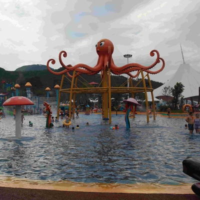 Kleurrijk de Speelplaatsmateriaal 6100*6100*5000 van het Octopuswater voor Familierecreatie