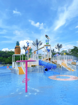 Elephant waterpark haalbaarheidsstudie water speeltuin voor kinderen water spel apparatuur voor spatten water